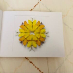 Postcard - Art of Christopher Marley - Biophilia - Solar Prism